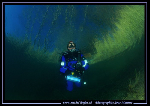 My good friend JP diving in the clear waters of our small... by Michel Lonfat 